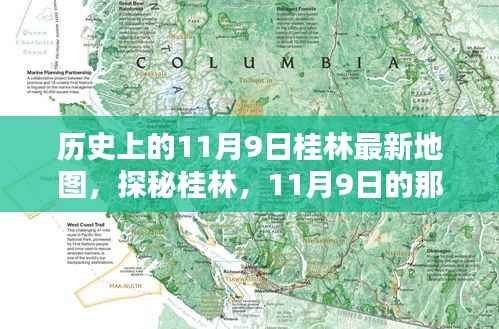 在线留言 第268页