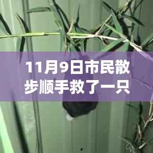 公司概况 第264页