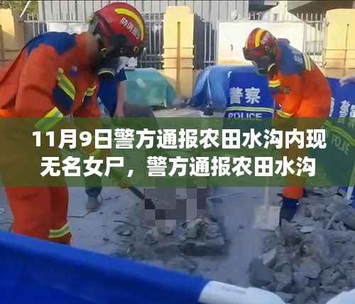 农田水沟内发现无名女尸事件,深度解析与评估的通报消息曝光