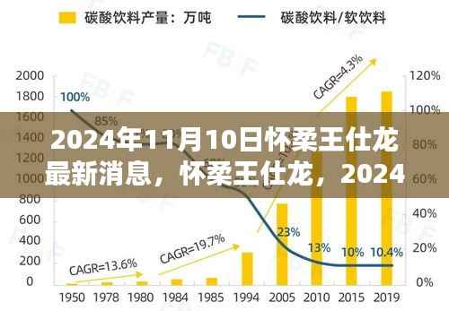 怀柔王仕龙最新动态与深远影响力揭晓,2024年11月10日更新