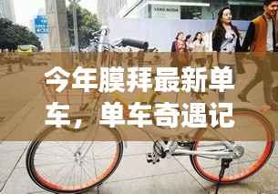 政策法规 第272页