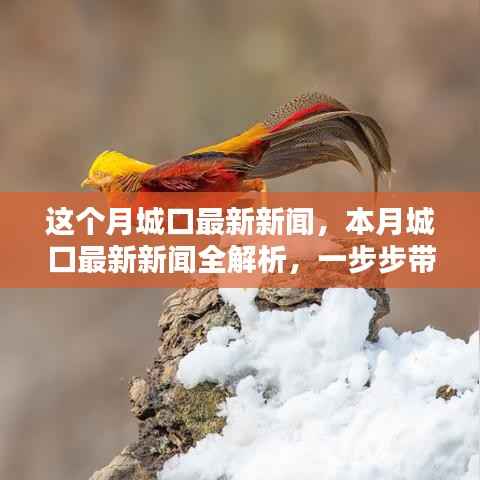 本月城口最新新闻解析，掌握获取新闻资讯的技能