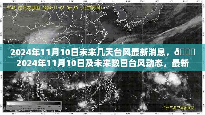2024年11月10日及未来数日台风动态,最新消息与全面解析