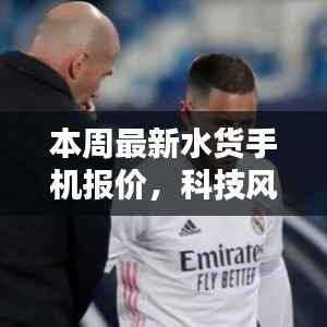 公司概况 第258页