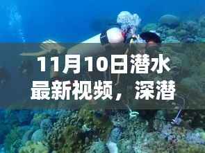 揭秘深潜新纪元，潜水最新视频的时代意义与影响（11月10日更新）