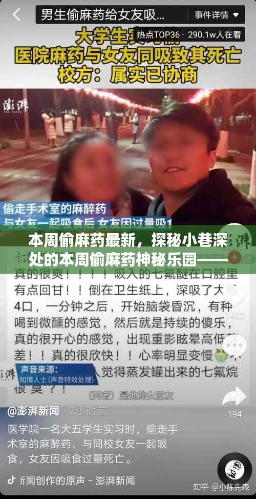 探秘隐藏版特色小店,本周偷麻药神秘乐园的独特魅力