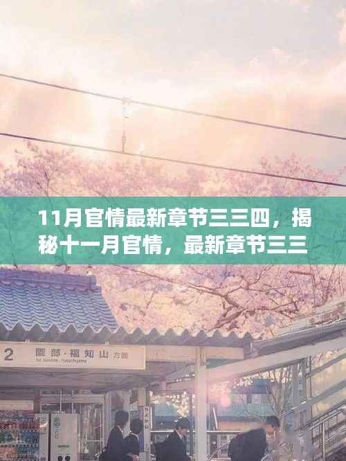 揭秘十一月官情最新章节三三四,深度解读与要点详解