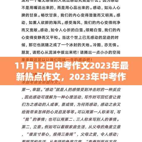 2023年中考作文热点聚焦与影响分析,回顾与展望