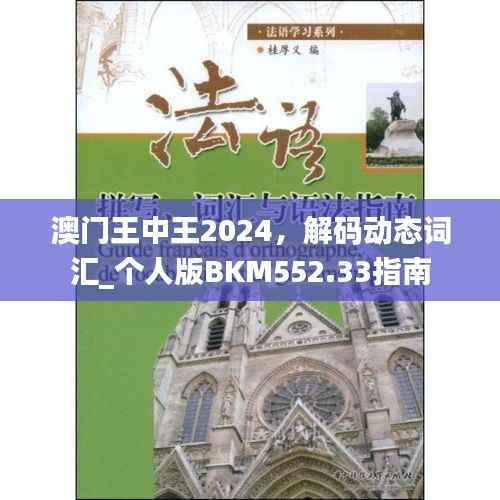 澳门王中王2024,解码动态词汇_个人版BKM552.33指南