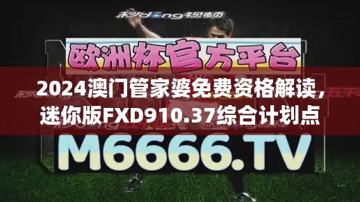2024澳门管家婆免费资格解读,迷你版FXD910.37综合计划点评