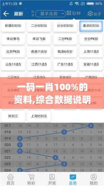 一码一肖100%的资料,综合数据说明_专门版DSX782.46