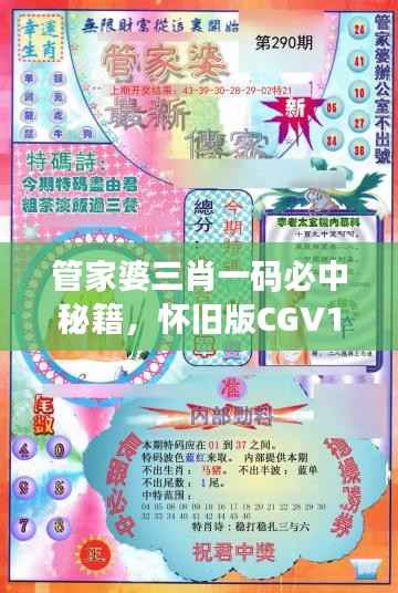 管家婆三肖一码必中秘籍,怀旧版CGV135.21动态词解