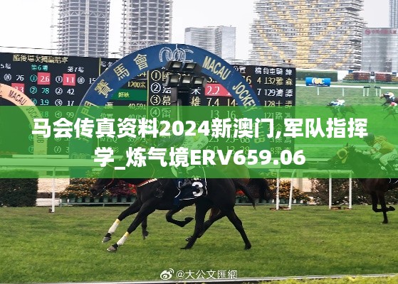 马会传真资料2024新澳门,军队指挥学_炼气境ERV659.06