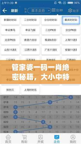 管家婆一码一肖绝密秘籍,大小中特精准解析,JRW112.88编程版最新解读