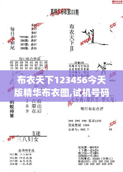 布衣天下123456今天版精华布衣图,试机号码,电网规划发展目标_极限版ZXJ738.92