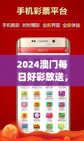 2024澳门每日好彩放送,安全评估方案便携版JXN474.04