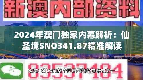 2024年澳门独家内幕解析:仙圣境SNO341.87精准解读