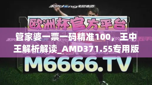 管家婆一票一码精准100,王中王解析解读_AMD371.55专用版