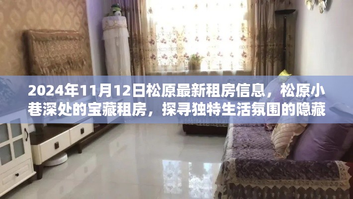 松原宝藏租房探寻,小巷深处的特色房源与隐藏小店(2024年11月最新)