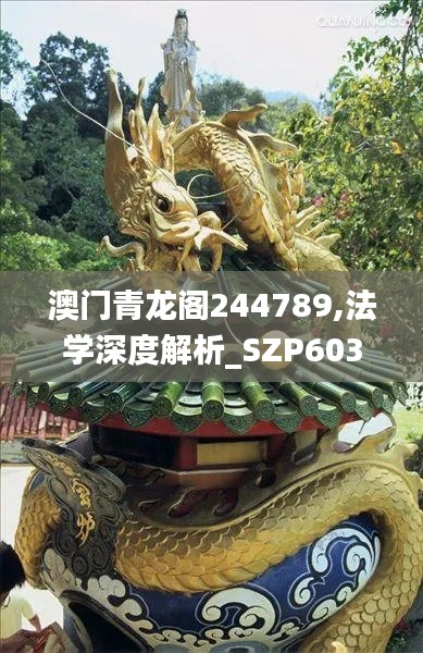 澳门青龙阁244789,法学深度解析_SZP603.99安全版