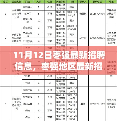 枣强地区最新招聘信息解析及求职指南(11月12日版)