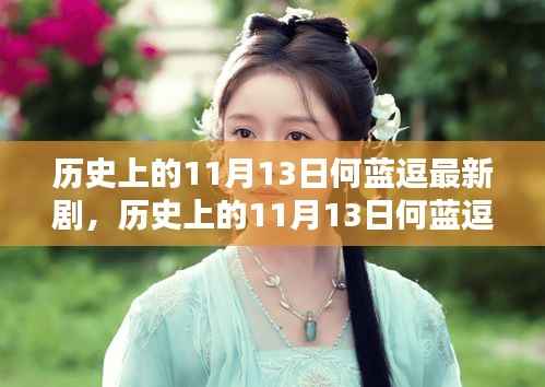 历史上的11月13日何蓝逗最新剧深度解析与探讨,深度探讨与解析
