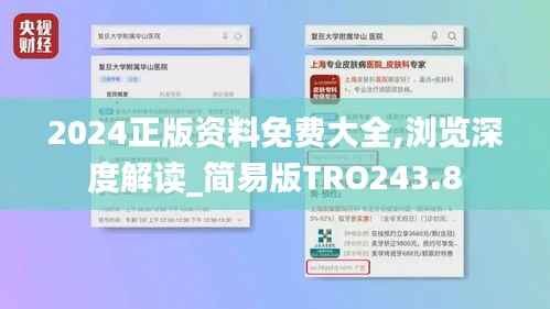 2024正版资料免费大全,浏览深度解读_简易版TRO243.8
