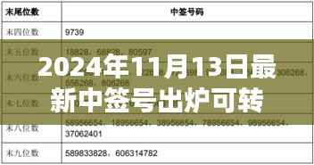 揭秘，2024年最新可转债中签号出炉背后的影响与时代地位分析