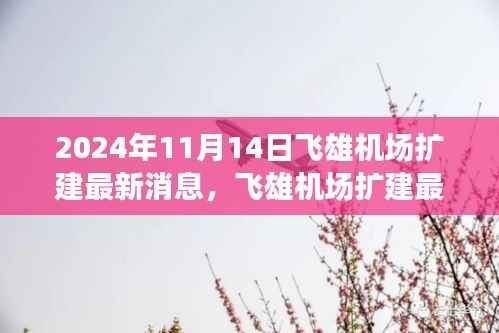 2024年11月14日飞雄机场扩建最新进展与动态