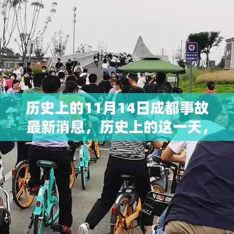 揭秘历史11月14日成都事故内幕与最新消息回顾