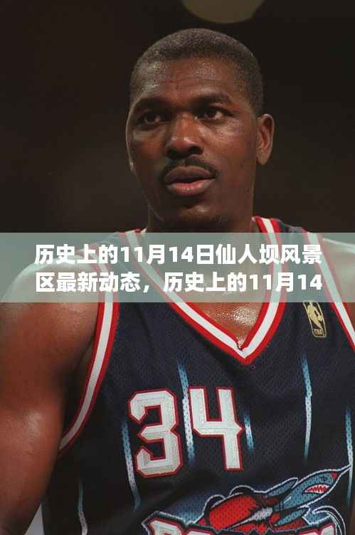 历史上的11月14日,仙人坝风景区最新动态全面解读