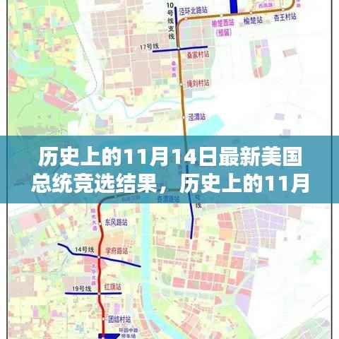 历史上的11月14日美国总统竞选结果深度解析与回顾