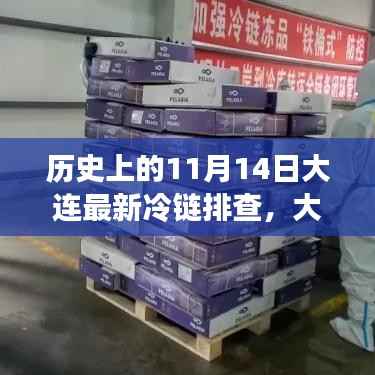 历史上的11月14日,大连冷链科技革新与智能监控系统的重大突破