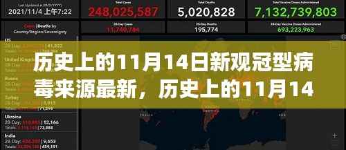 历史上的11月14日,新观冠型病毒来源的最新解读与解读报告揭秘