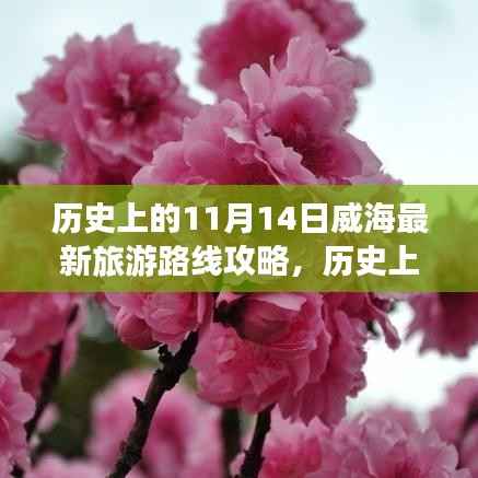 历史上的11月14日威海旅游路线全新攻略,最新旅游路线探索