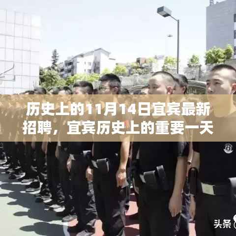 宜宾历史上的重要一天,揭秘十一月十四日最新招聘及其深远影响