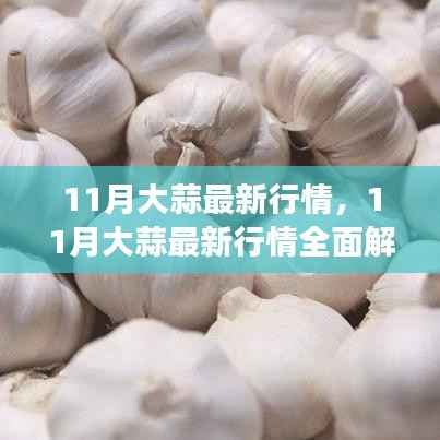 11月大蒜行情全面解析,市场动态掌握与应对策略