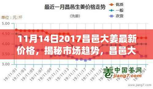 揭秘市场趋势,昌邑大姜最新价格动态分析(2017年11月报告)