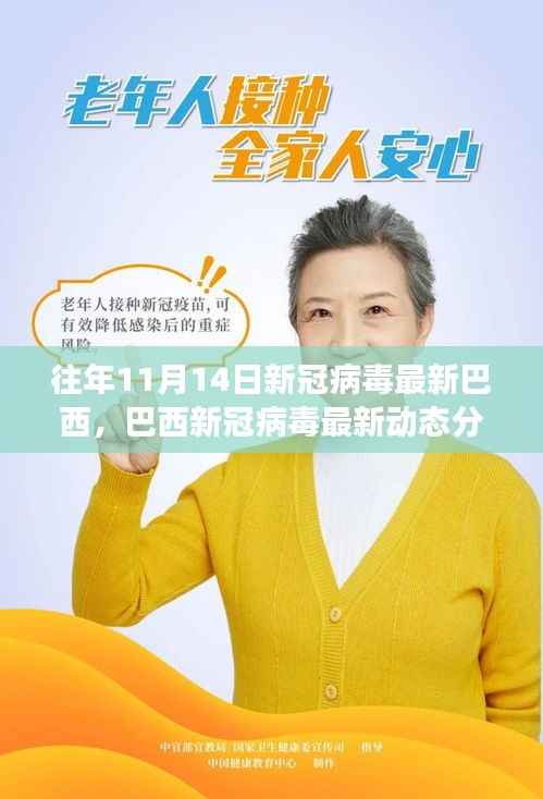 历年11月14日巴西新冠病毒动态分析,最新数据与趋势探讨