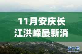 安庆长江洪峰过境,温馨日常与深厚友情的见证