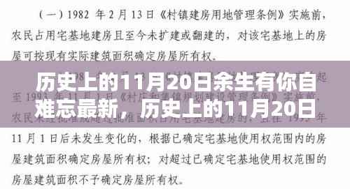 历史上的11月20日,余生有你,自难忘——最新深度解析回顾与感悟