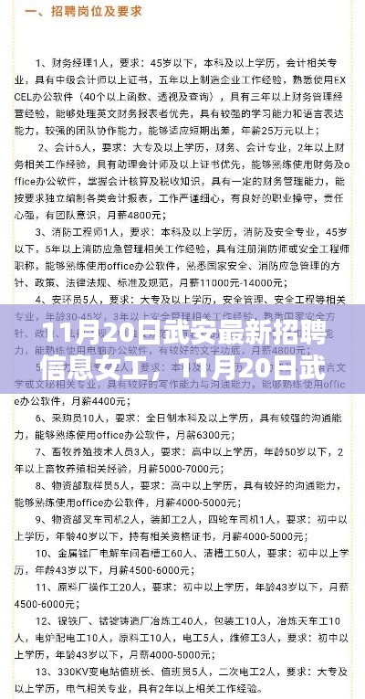 11月20日武安最新女工招聘信息,机遇与挑战并存