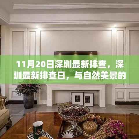 深圳最新排查日,自然美景中的内心宁静之旅