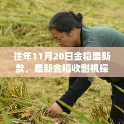 走马观花 第18页