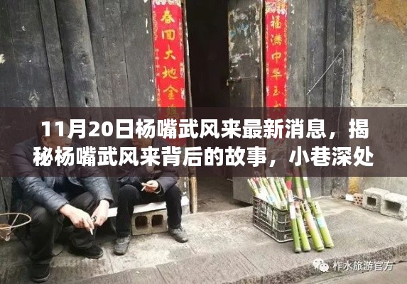 揭秘杨嘴武风来背后的故事,小巷深处的独特风味(最新消息)
