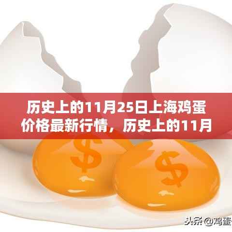 历史上的11月25日上海鸡蛋价格行情概览与最新市场动态分析