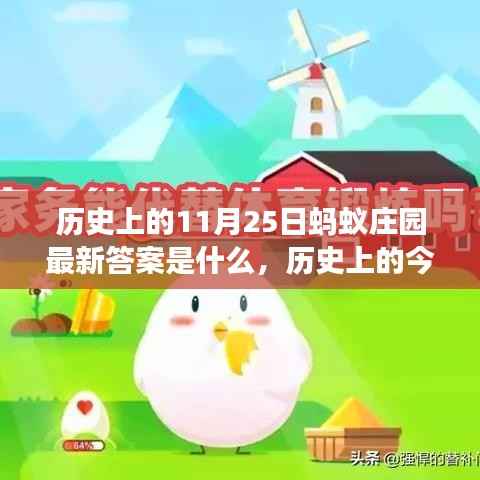 蚂蚁庄园11月25日历史答案揭秘,温馨故事中的寻找答案之旅