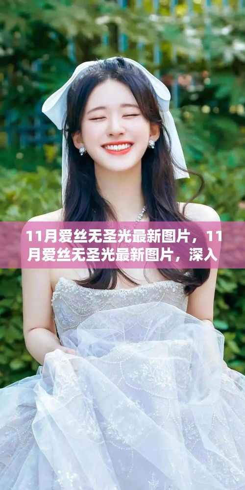 11月爱丝无圣光最新图片,深入评测与详细介绍