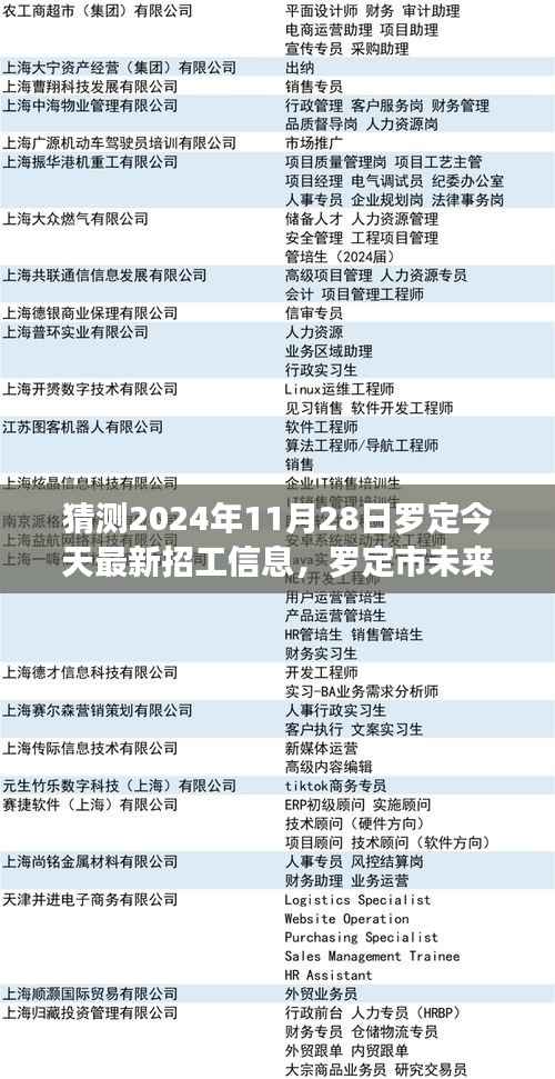探寻罗定市未来招工新动向,职业机遇与挑战展望(2024年11月28日最新招工信息)