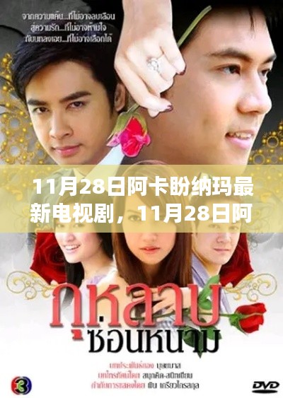 阿卡盼纳玛新剧观看指南,从入门到追剧情深